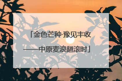 金色芒种·豫见丰收——中原麦浪翻滚时