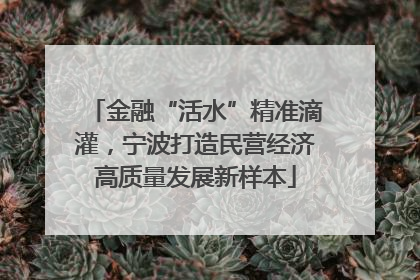 金融“活水”精准滴灌，宁波打造民营经济高质量发展新样本