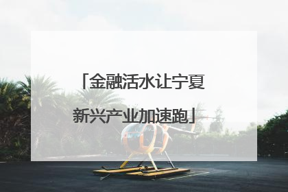 金融活水让宁夏新兴产业加速跑