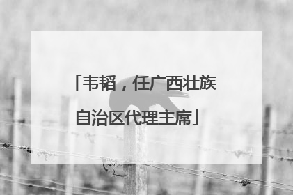 韦韬，任广西壮族自治区代理主席