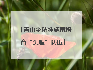 青山乡精准施策培育“头雁”队伍
