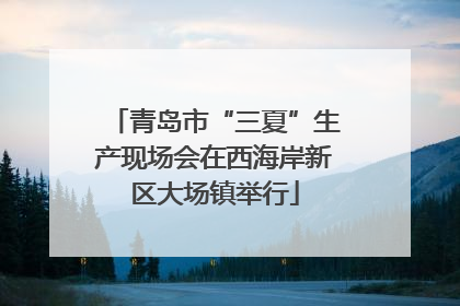 青岛市“三夏”生产现场会在西海岸新区大场镇举行