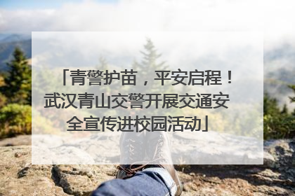 青警护苗，平安启程！武汉青山交警开展交通安全宣传进校园活动