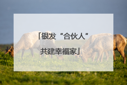 银发“合伙人” 共建幸福家