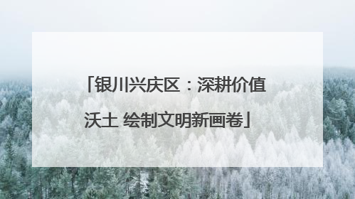 银川兴庆区：深耕价值沃土 绘制文明新画卷