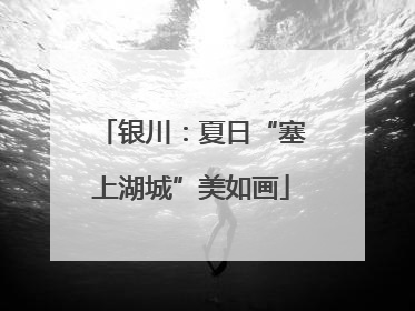 银川：夏日“塞上湖城”美如画