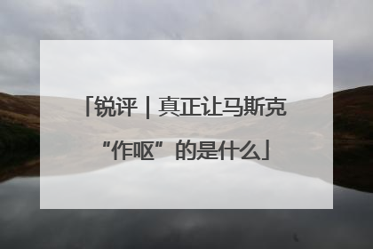锐评｜真正让马斯克“作呕”的是什么