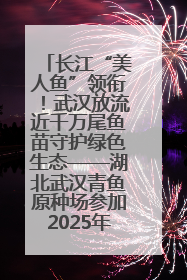 长江“美人鱼”领衔！武汉放流近千万尾鱼苗守护绿色生态——湖北武汉青鱼原种场参加2025年“全国放鱼日”增殖放流活动