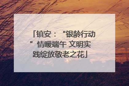 镇安：“银龄行动”情暖端午 文明实践绽放敬老之花