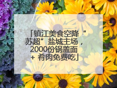 镇江美食空降“苏超”盐城主场，2000份锅盖面+ 肴肉免费吃