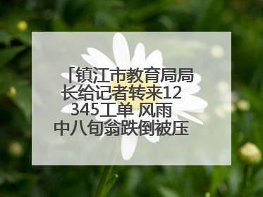 镇江市教育局局长给记者转来12345工单 风雨中八旬翁跌倒被压电瓶车下，扶不扶？镇江高职学子选择令人钦佩