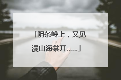 阴条岭上，又见漫山海棠开……
