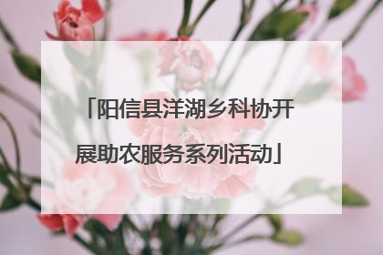 阳信县洋湖乡科协开展助农服务系列活动