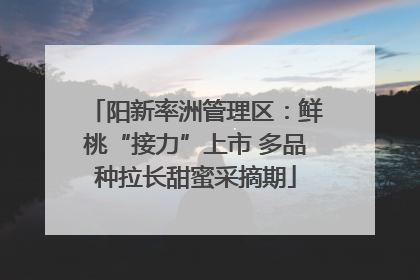 阳新率洲管理区：鲜桃“接力”上市 多品种拉长甜蜜采摘期