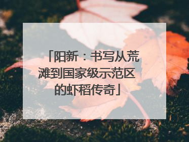阳新：书写从荒滩到国家级示范区的虾稻传奇