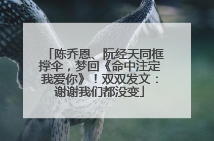 陈乔恩、阮经天同框撑伞，梦回《命中注定我爱你》！双双发文：谢谢我们都没变