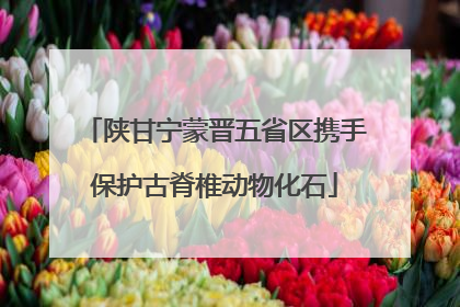 陕甘宁蒙晋五省区携手保护古脊椎动物化石