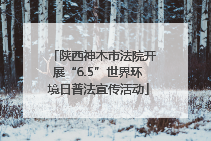 陕西神木市法院开展“6.5”世界环境日普法宣传活动