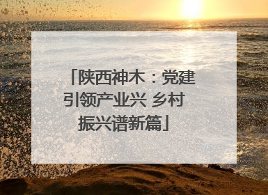 陕西神木：党建引领产业兴 乡村振兴谱新篇