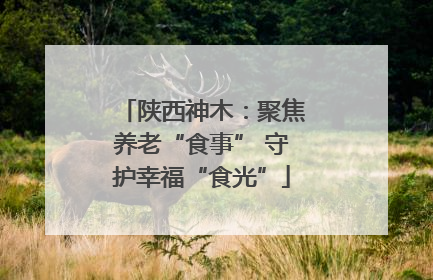 陕西神木：聚焦养老“食事” 守护幸福“食光”