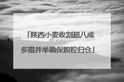 陕西小麦收割超八成 多措并举确保颗粒归仓