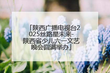 陕西广播电视台2025丝路星未来-陕西省少儿六一文艺晚会圆满举办