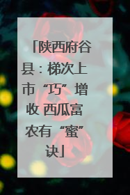 陕西府谷县：梯次上市“巧”增收 西瓜富农有“蜜”诀