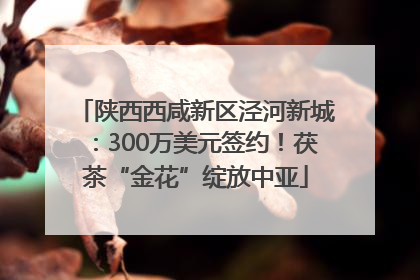 陕西西咸新区泾河新城：300万美元签约！茯茶“金花”绽放中亚