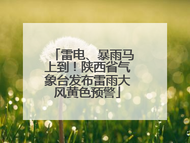 雷电、暴雨马上到！陕西省气象台发布雷雨大风黄色预警