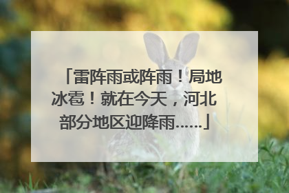 雷阵雨或阵雨！局地冰雹！就在今天，河北部分地区迎降雨……