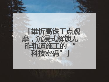 雄忻高铁工点观摩，沉浸式解锁无砟轨道施工的 “科技密码”