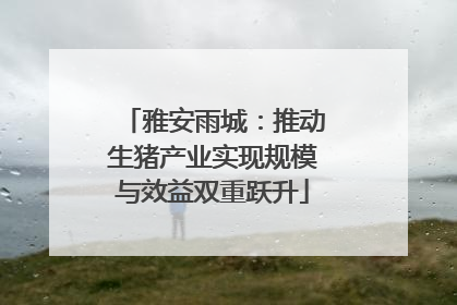 雅安雨城：推动生猪产业实现规模与效益双重跃升