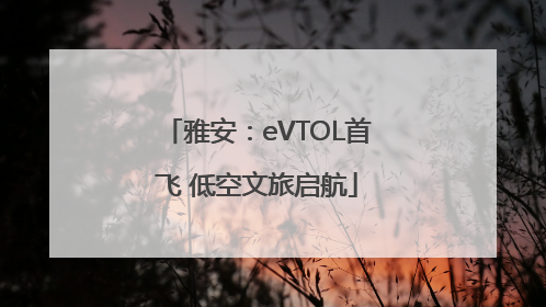 雅安：eVTOL首飞 低空文旅启航