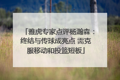 雅虎专家点评杨瀚森：终结与传球成亮点 需克服移动和投篮短板