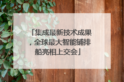 集成最新技术成果，全球最大智能铺排船亮相上交会