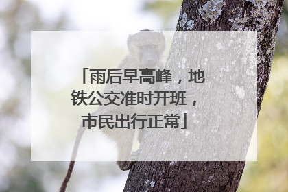 雨后早高峰，地铁公交准时开班，市民出行正常