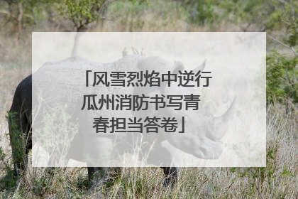 风雪烈焰中逆行 瓜州消防书写青春担当答卷
