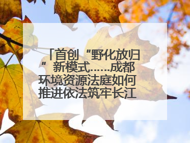 首创“野化放归”新模式……成都环境资源法庭如何推进依法筑牢长江上游生态屏障