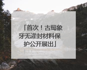 首次！古蜀象牙无灌封材料保护公开展出