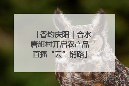 香约庆阳｜合水唐旗村开启农产品直播“云”销路