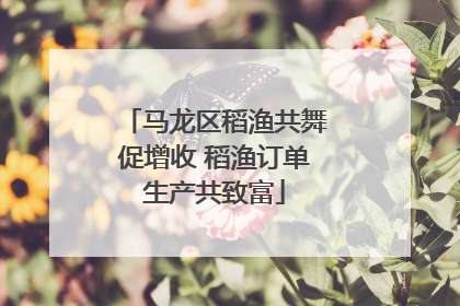 马龙区稻渔共舞促增收 稻渔订单生产共致富