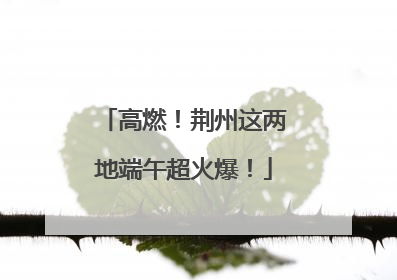 高燃！荆州这两地端午超火爆！