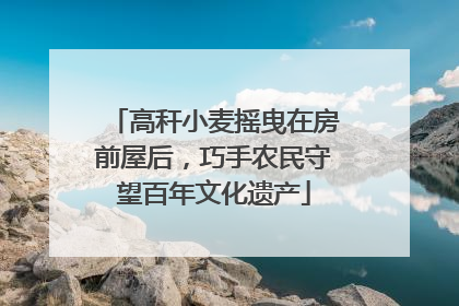 高秆小麦摇曳在房前屋后，巧手农民守望百年文化遗产