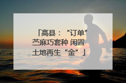 高县：“订单”苎麻巧套种 闲置土地再生“金”