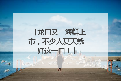 龙口又一海鲜上市，不少人夏天就好这一口！