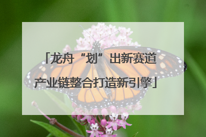 龙舟“划”出新赛道 产业链整合打造新引擎