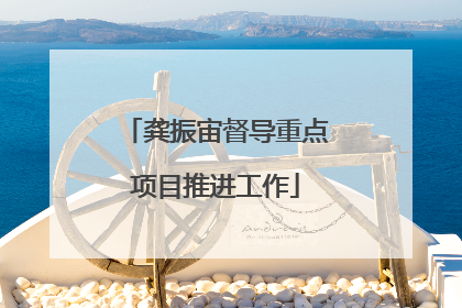 龚振宙督导重点项目推进工作