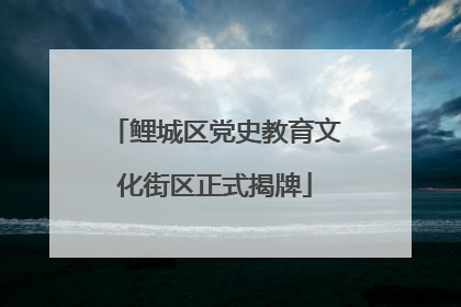 鲤城区党史教育文化街区正式揭牌