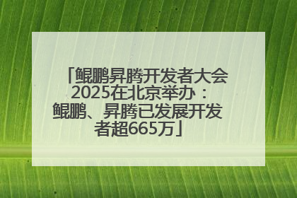 鲲鹏昇腾开发者大会2025在北京举办：鲲鹏、昇腾已发展开发者超665万