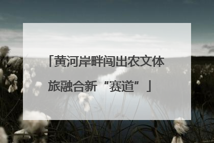 黄河岸畔闯出农文体旅融合新“赛道”